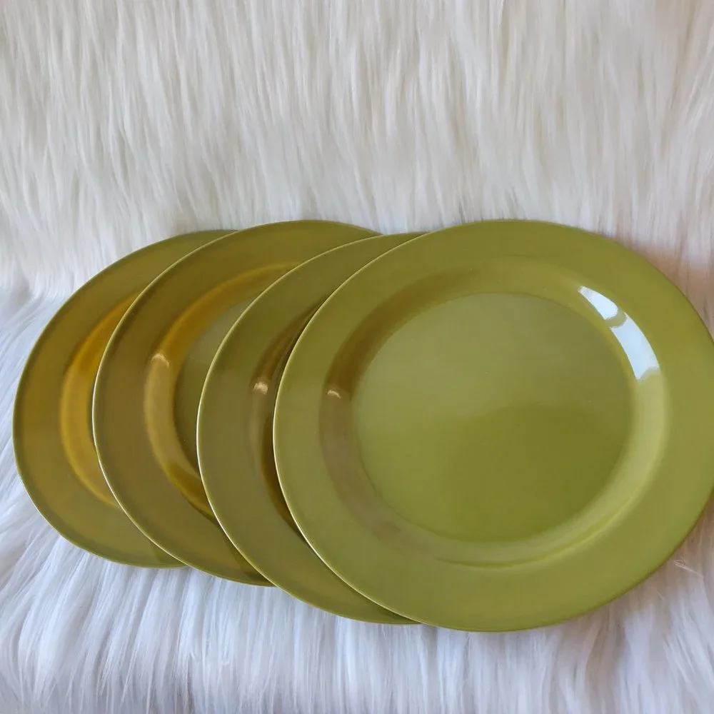 Set of 4 Melamine Plates